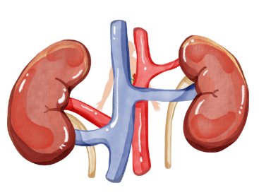 Imaxe ampliada dos riles