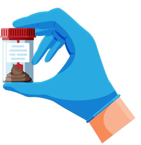 ilustración dunha mostra de feces