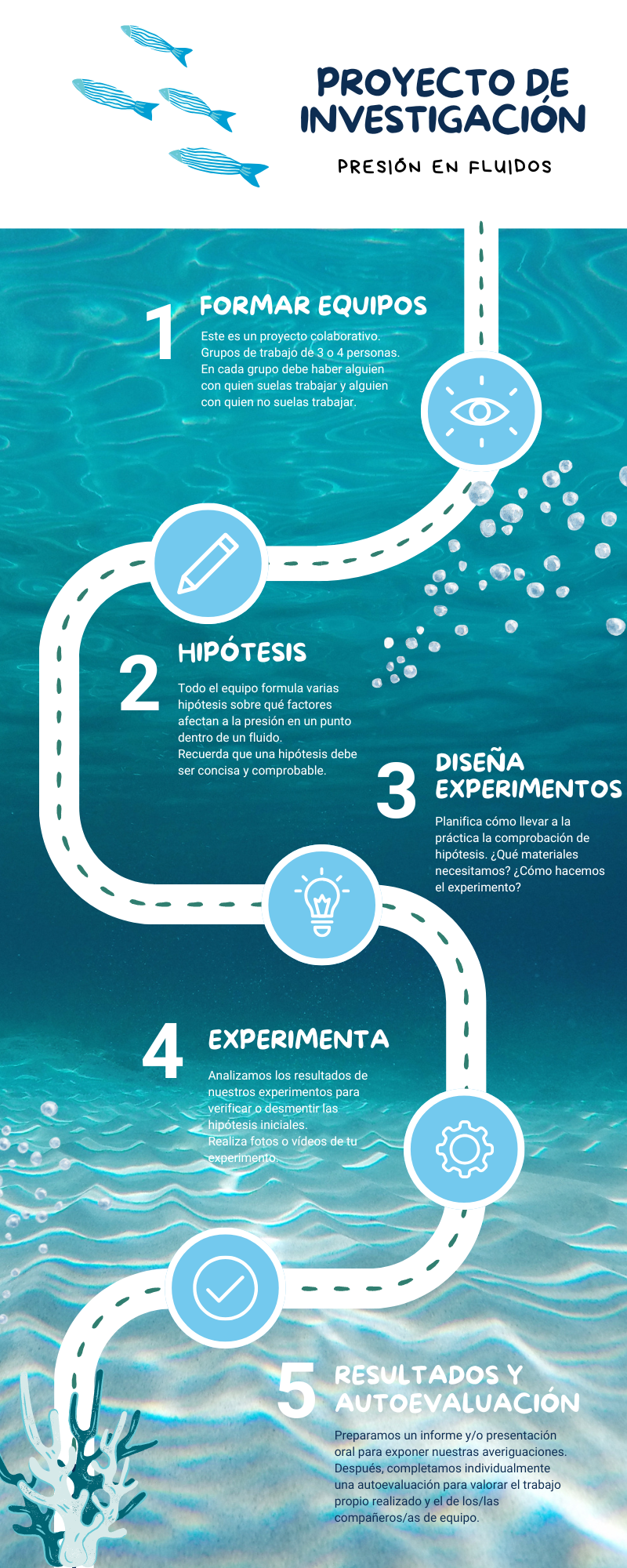 Haz clic para ver más