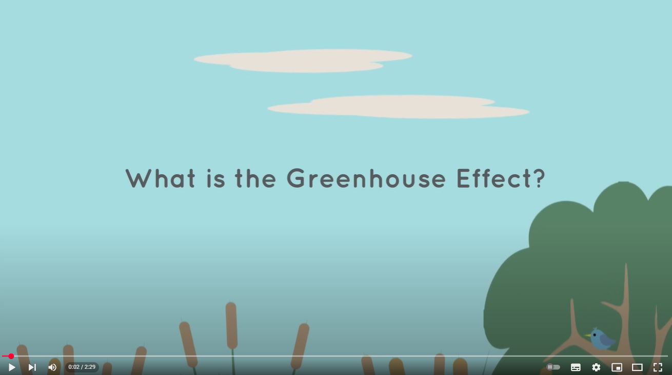 What is the greenhouse effect?