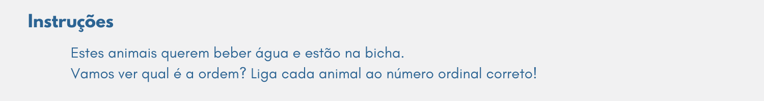 Instruções