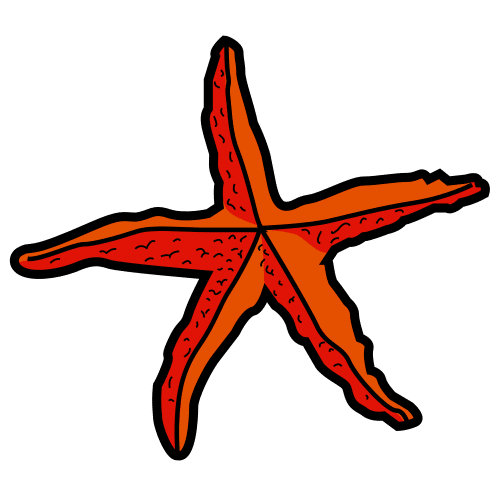 Estrella de mar