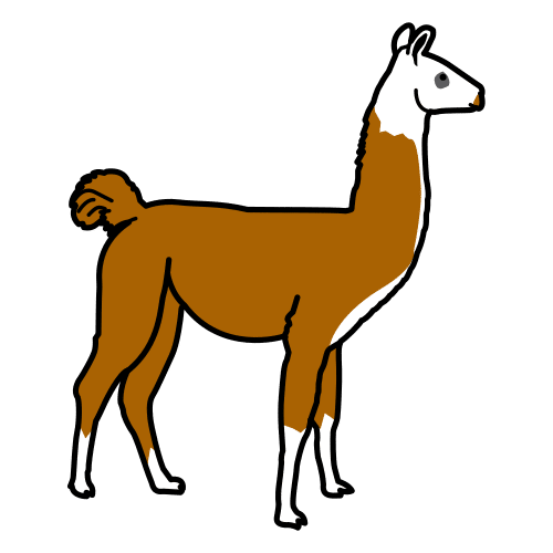 Llama
