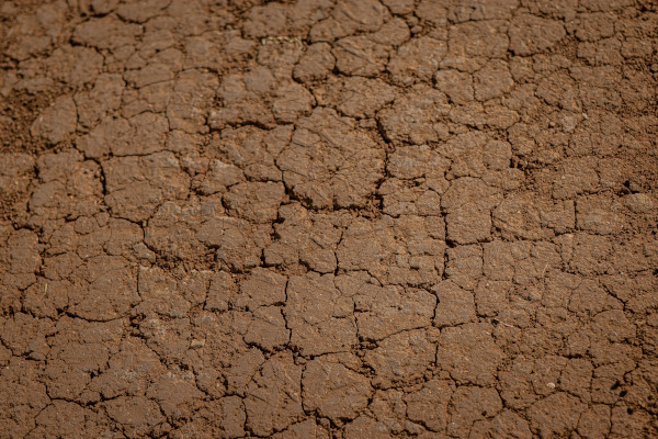 Campo seco Fotografía de un campo seco