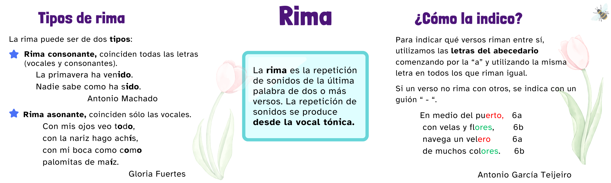 Rima