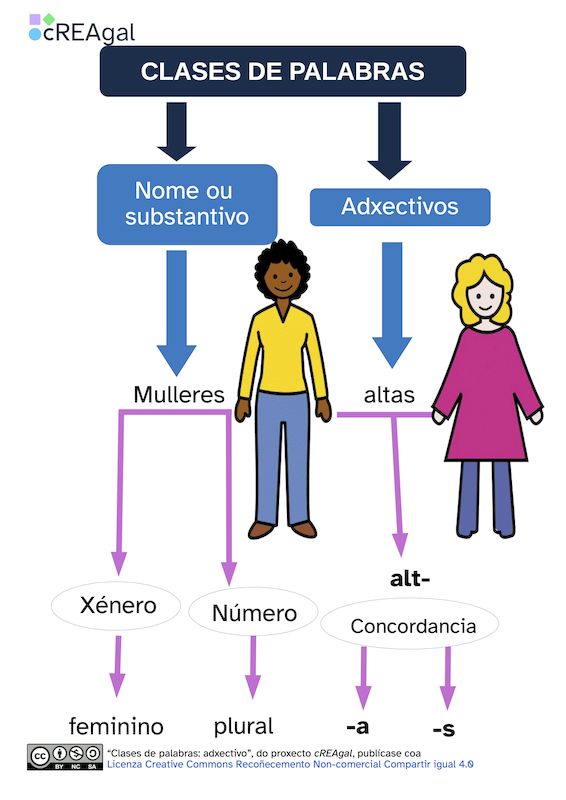 Clases de palabras adxectivo