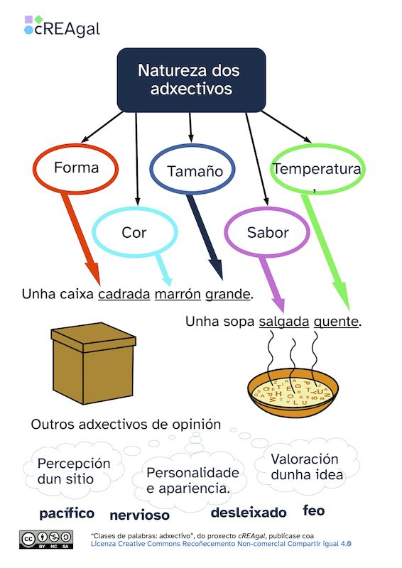 Clases de palabras adxectivo 2