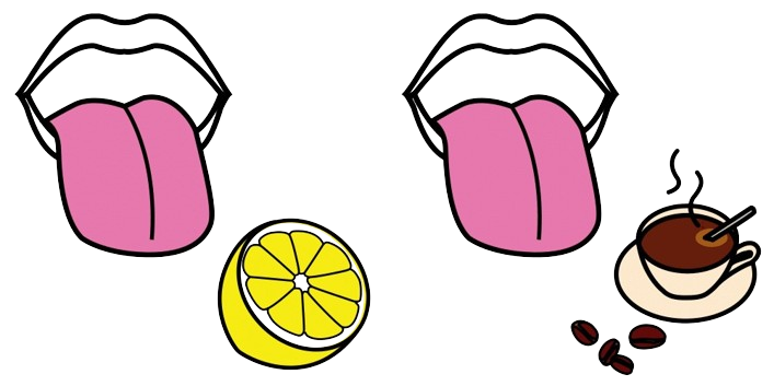 Gusto de sabor agridoce