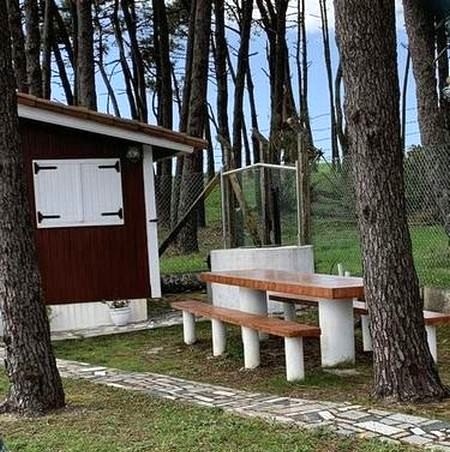 Casa de madera con un jardín y una mesa para comer.