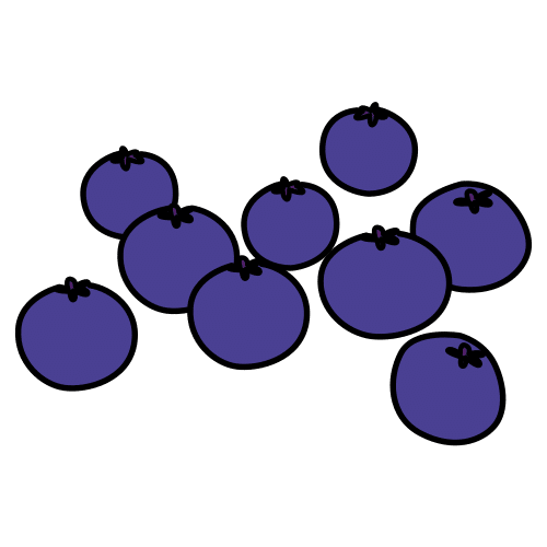 Conjunto de arándanos