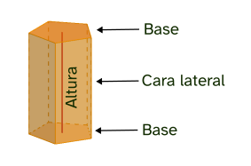Elementos de un prisma