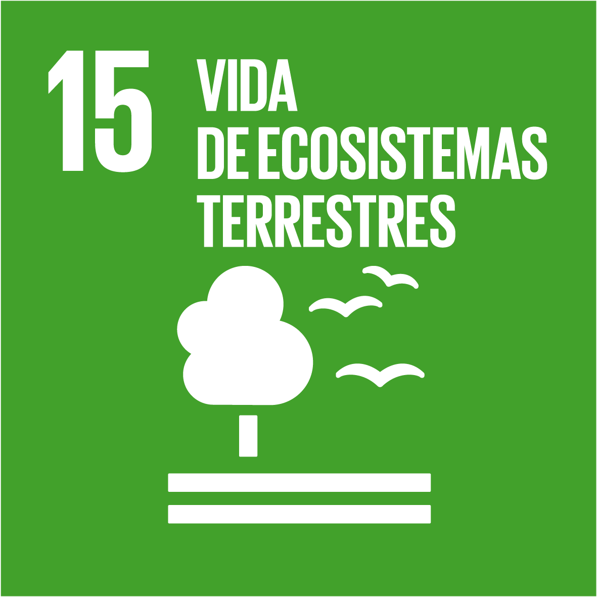 15-vida-de-ecosistemas-terrestres