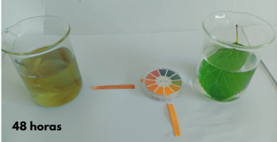 48 horas en ácido b 48 horas en ácido b