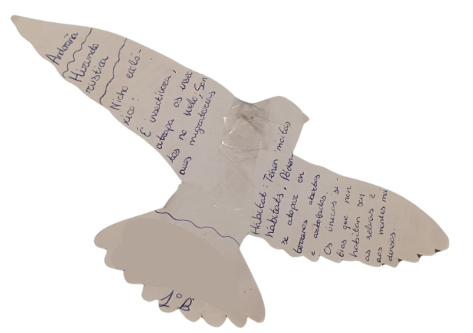 Ecosistemas pendurados2