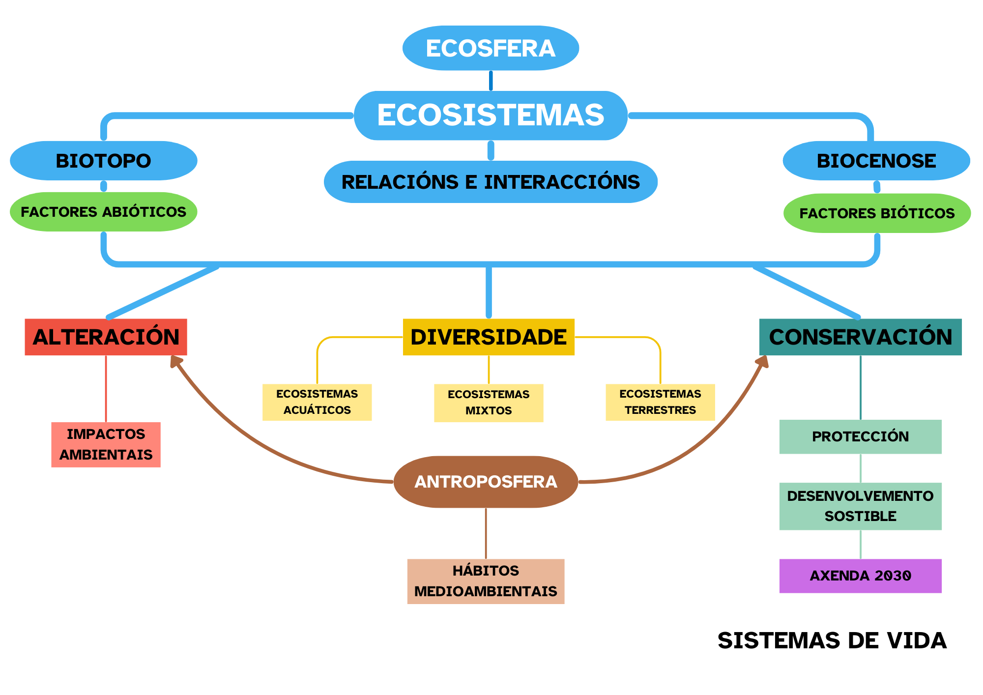 Mapa conceptual Mapa conceptual