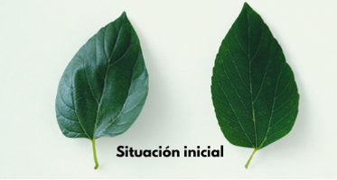 Situación inicial Situación inicial