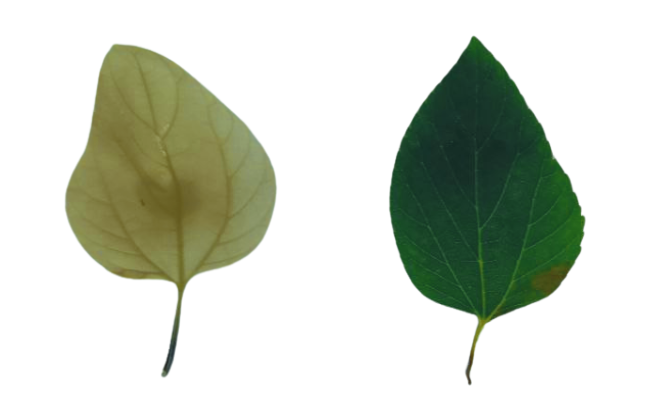 Situación final Situación final