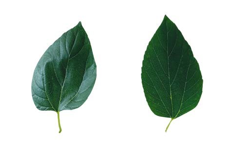 Situación inicial Situación inicial