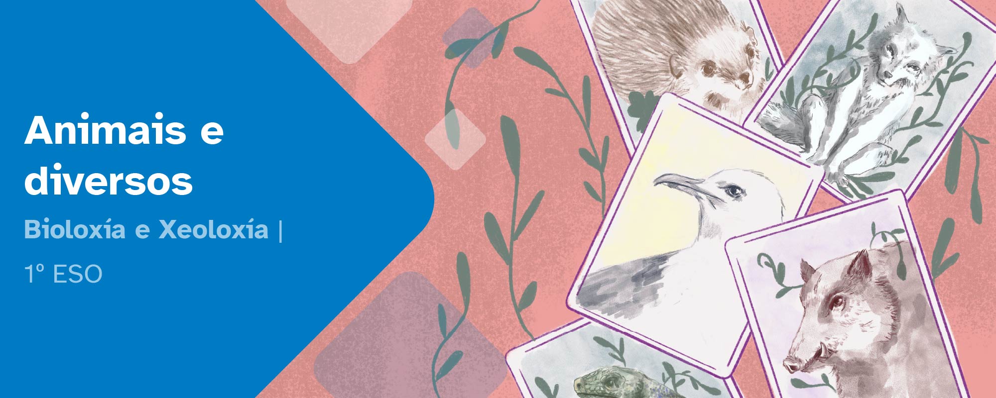Animais e diversos 1ºESO