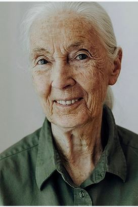 Jane Goodall