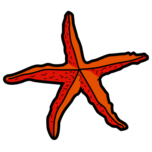 Estrela de mar