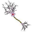 Neurona