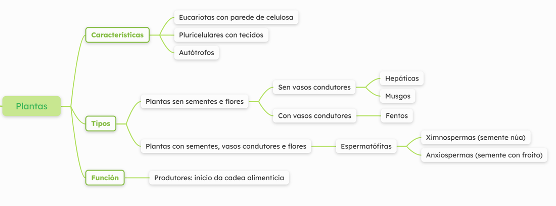 Mapa conceptos Plantas