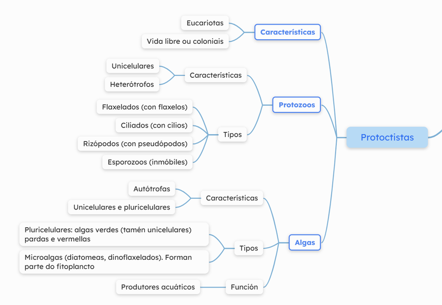 Mapa conceptos Protoctistas