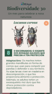 Detalle no calendario Exemplo de calendario