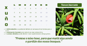 Modelo 2 de folla de calendario Exemplo de folla de calendario