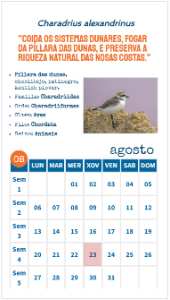 Modelo 1 de folla de calendario Exemplo de folla de calendario