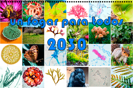 Modelo de portada dun calendario da diversidade Exemplo de portada dun calendario da diversidade