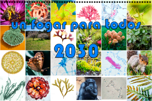 Exemplo de portada de calendario da biodiversidade
