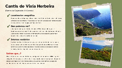 Ficha 1 - Cantís de Vixía Herbeira