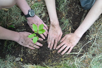 Nenos e nenas plantando unha árbore