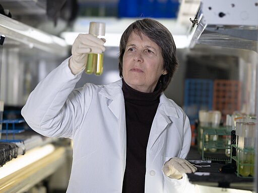 A científica Penny Chisholm traballando no seu laboratorio en 2023