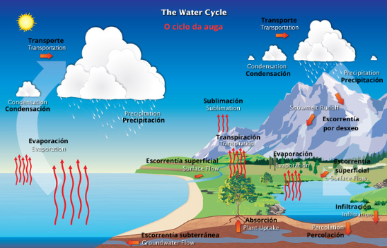 Representación do ciclo da auga