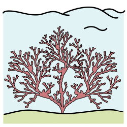 Pictograma dun coral no medio mariño