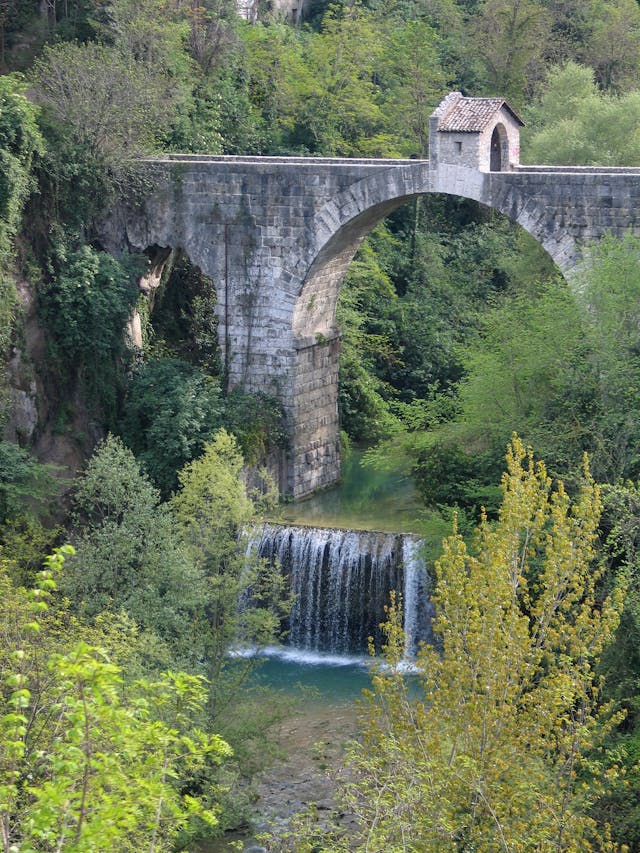 Bosque frondoso con río y puente
