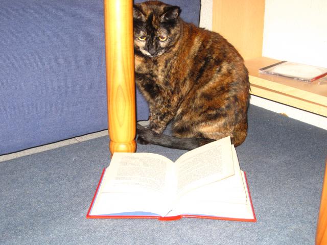 Comunicación diferida 