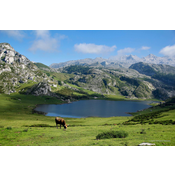 Lagos de Covadonga