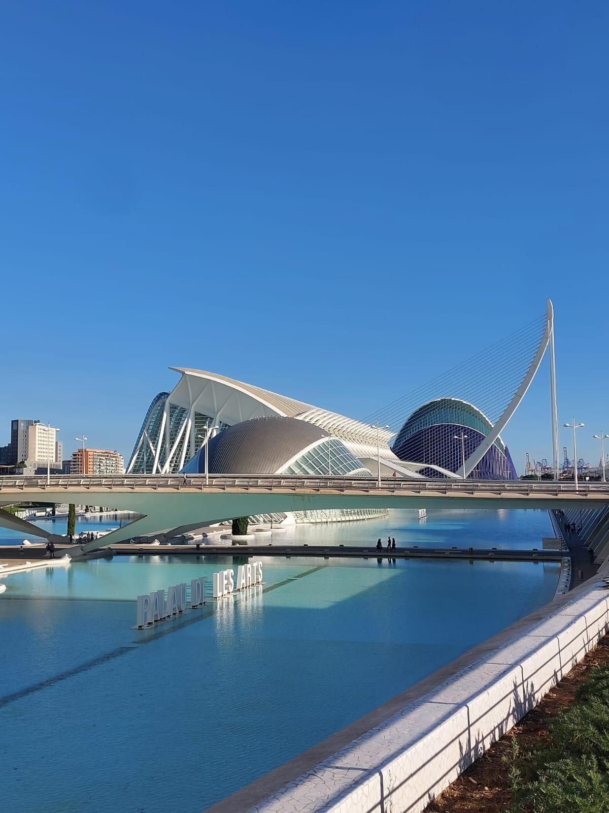 Palacio de las Artes de Valencia