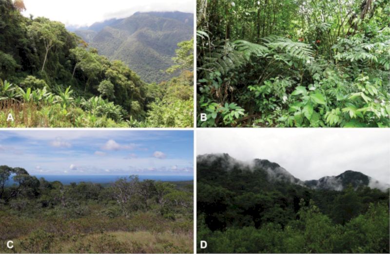 Varios tipos de hábitats
