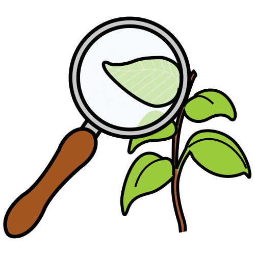unha lupa enfocando unha planta
