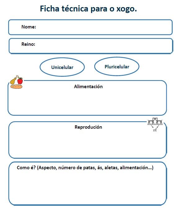 modelo de ficha técnica
