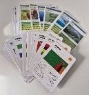 Imaxe de fichas técnicas