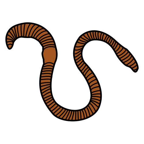 Pictograma de representa unha miñoca