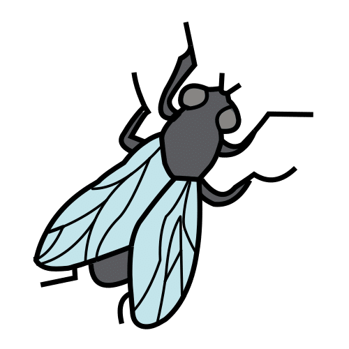 Pictograma que representa unha mosca