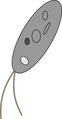 Ilustración dun ser vivo unicelular