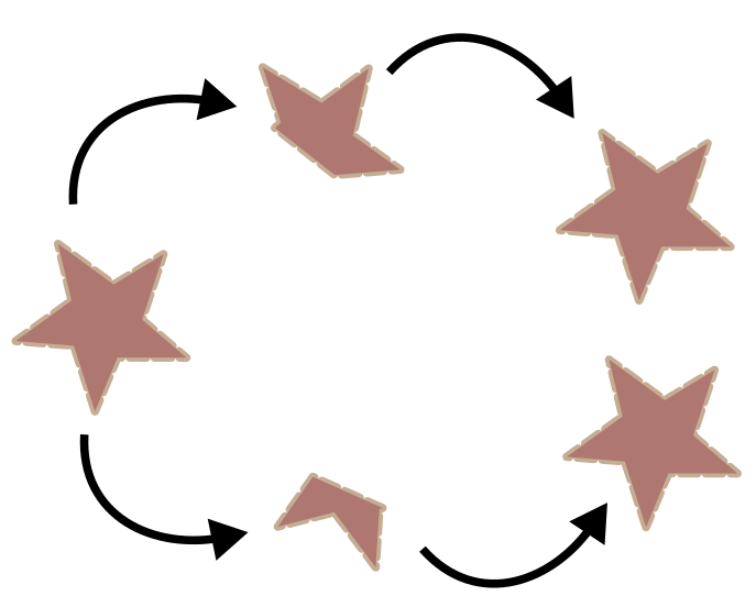 reprodución asexual